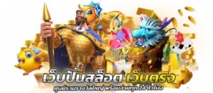 PP9D